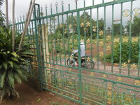 DSCN1616.JPG