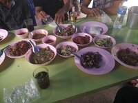 IMG_20190629_090927.jpg