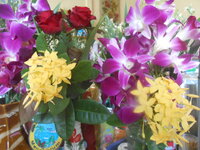 DSCN1495.JPG