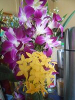 DSCN1499~2.JPG