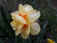 IMG-20250408-WA0000.jpg