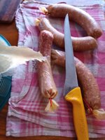 IMG_20231123_101158_536.jpg