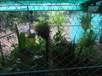 DSCN2054.JPG