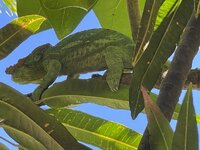 IMG_1597.jpeg