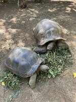 IMG_1587.jpeg