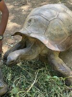 IMG_1589.jpeg