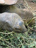 IMG_1588.jpeg