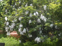 DSCN1961.JPG