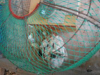 DSCN2141.JPG