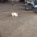 IMG_20250607_204134.jpg
