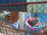 DSCN2103.JPG