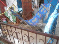 DSCN2104.JPG