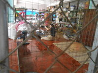 DSCN2106.JPG