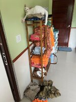 IMG_0066.jpeg