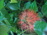 DSCN2134.JPG