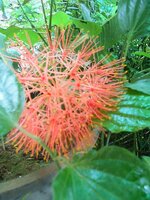 DSCN2135~2.JPG