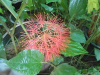 DSCN2136.JPG