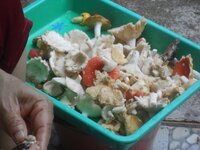 DSCN2123.JPG