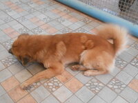 DSCN2131.JPG