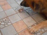 DSCN2130.JPG