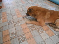 DSCN2125.JPG
