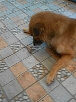 DSCN2132~2.JPG