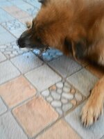 DSCN2133~2.JPG