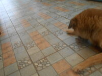 DSCN2129.JPG
