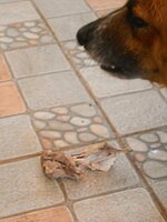 DSCN2126~2.JPG