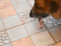 DSCN2127~2.JPG