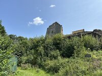 IMG_7943.jpeg