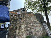 IMG_7953.jpeg
