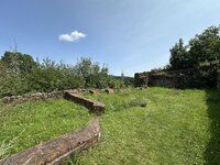 IMG_7961.jpeg