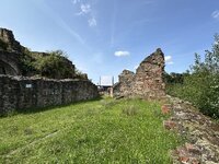 IMG_7963.jpeg