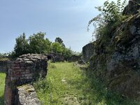 IMG_7959.jpeg
