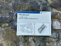 IMG_7964.jpeg