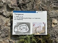 IMG_7942.jpeg