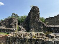 IMG_7986.jpeg