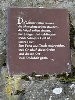 IMG_7998.jpeg