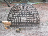 DSCN2034.JPG