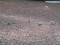 DSCN2033.JPG