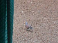 DSCN1463.JPG