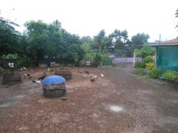 DSCN2025.JPG