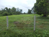 DSCN1161.JPG