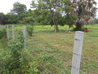 DSCN1159.JPG