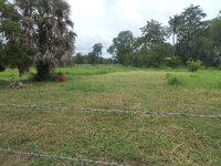 DSCN1158.JPG