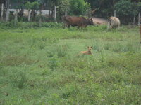 DSCN1165.JPG