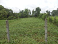 DSCN1162.JPG