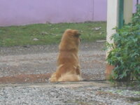 DSCN2163.JPG