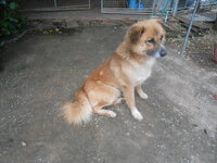 DSCN2166.JPG